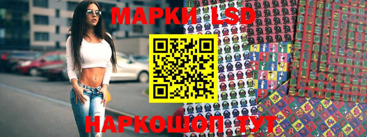 A PVP Новоалександровск