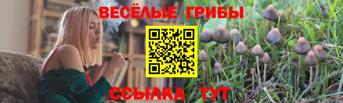 Новоалександровск  Галлюциногенные грибы MAGIC MUSHROOMS  Вход с VPN 